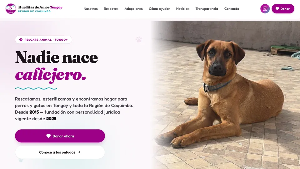 Sitio web desarrollado para Fundación Huellitas de Amor Tongoy